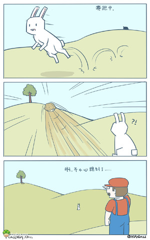 龟兔赛跑