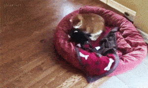 卧槽你耍赖，不带叫家长的啊