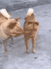 兄弟，咋了，昨晚没玩嗨吗？