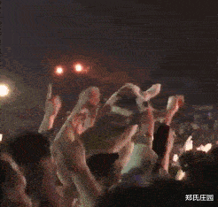 狗子：“你放我下来，我恐高”主人：“不，你不能停止对音乐的热爱”