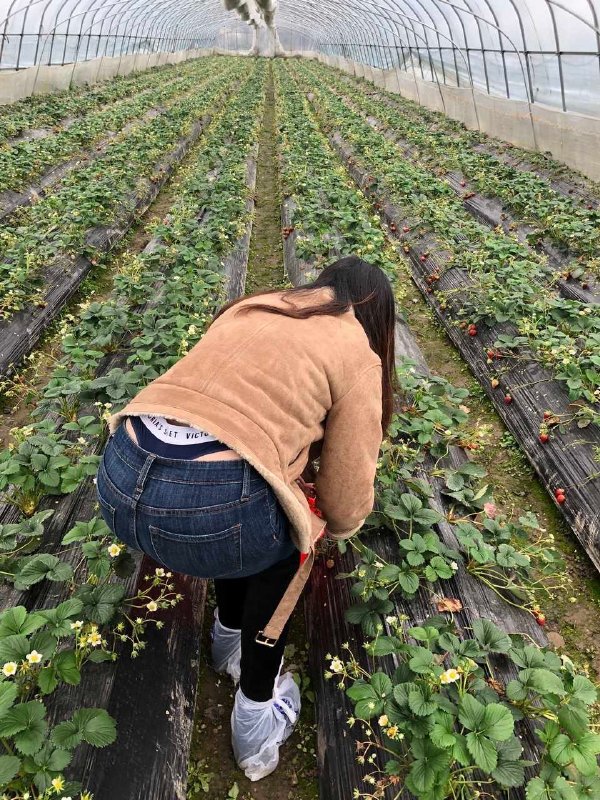 “秘密泄露，重复，秘密泄露”