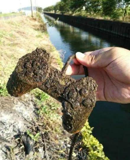 考古学家:真神奇,当年的年轻人娱乐方式就是玩这个,这玩意有什么好玩的