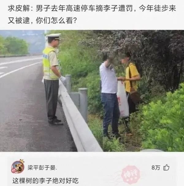 徒步摘李子犯什么错了?