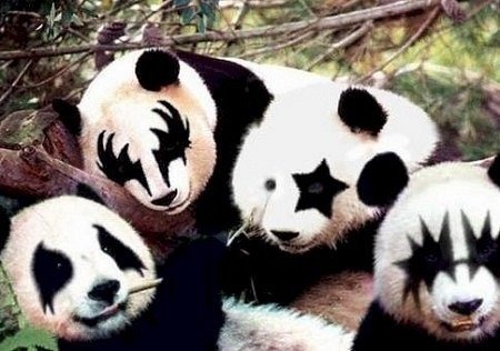 这是哪个家族?