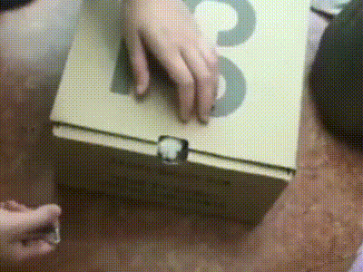 给猫剪指甲的正确操作