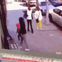 这是自家的狗吗?