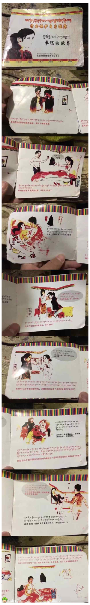 啊~啊~卓玛，草原上的格桑花，画风惊奇啊