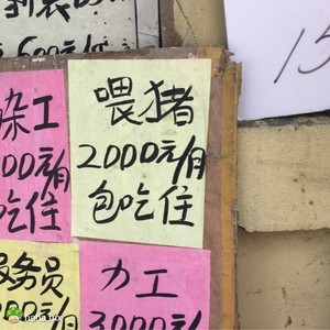 老板我能不能辞职啊,我找到一份好工作。。。