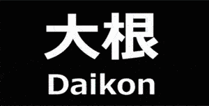 日本的职业鞭者林丽奈……看完之后,你们有没有觉得哪里有点疼