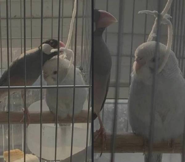 来~~来~~,天气冷,围巾围上就不冷了