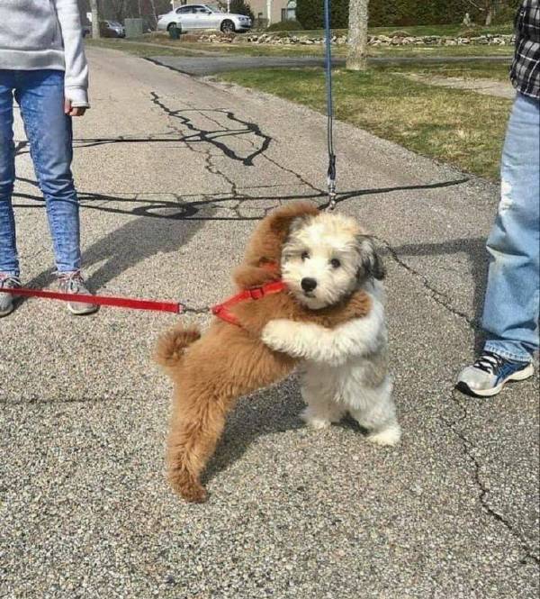 你我惺惺相惜情不自禁