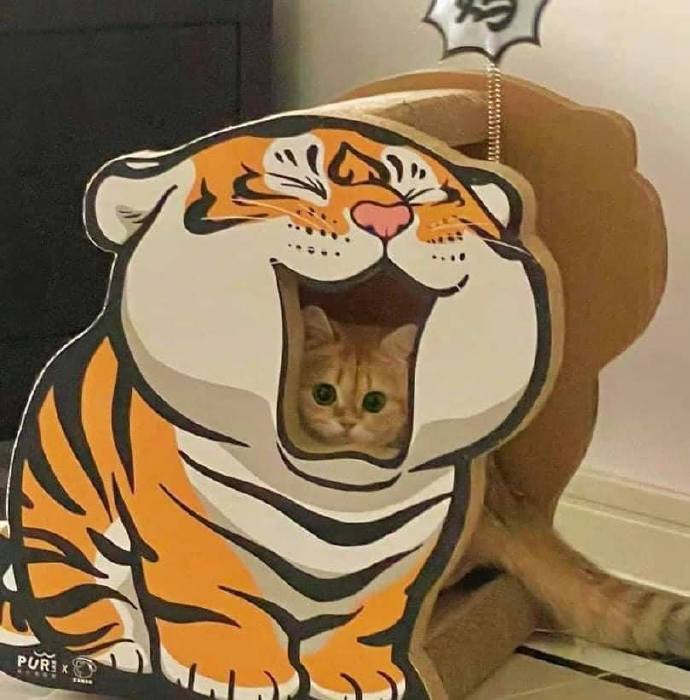 这算是cosplay嘛?