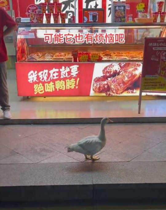 他二舅在柜台里呢