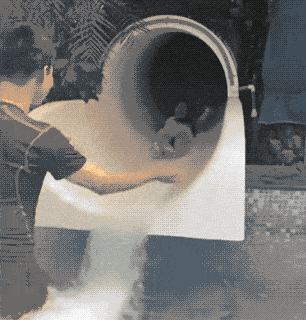 这样的工作,就算倒贴工资我也乐意啊