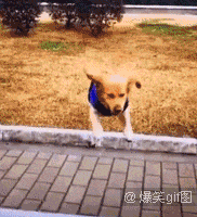 生命中不能承受的痛！ ​​​​