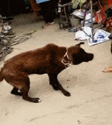 你是我的小呀小苹果，怎么爱你都不嫌多