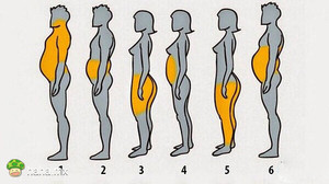 你的肉长在哪里？