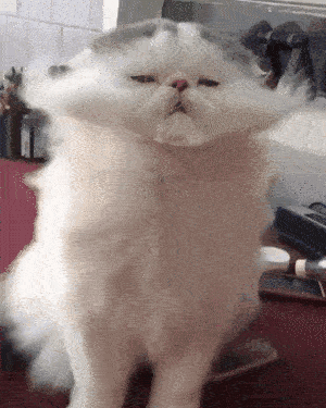 鳌拜！我知道是你！