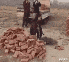 大城市的熊气质就是不一样！