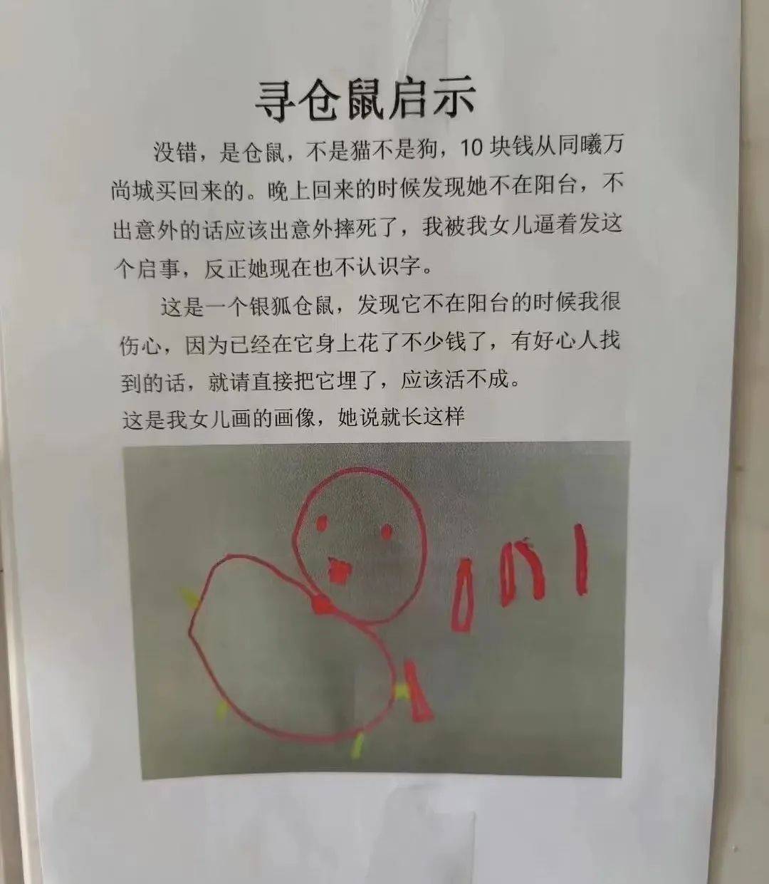 谁见过我的仓鼠啊?