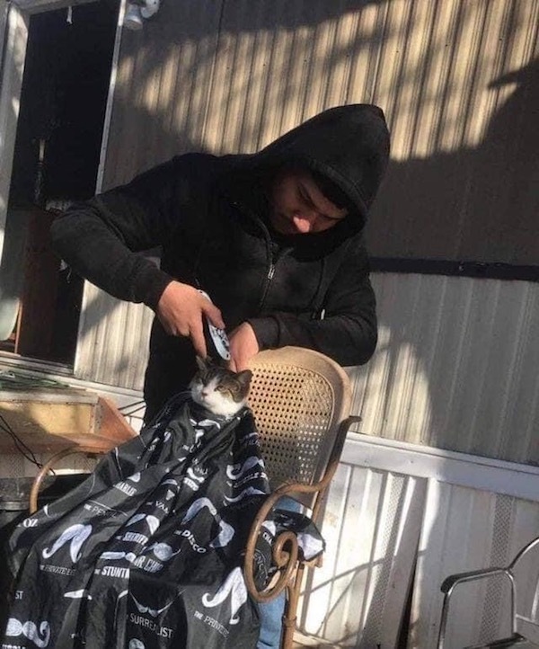 给本喵理地帅气点啊