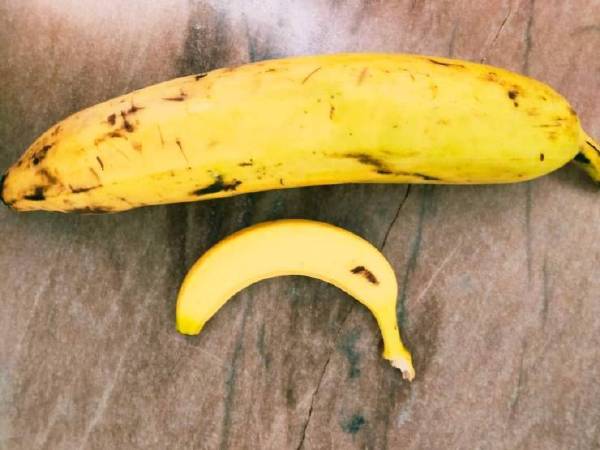 非洲人，韩国人