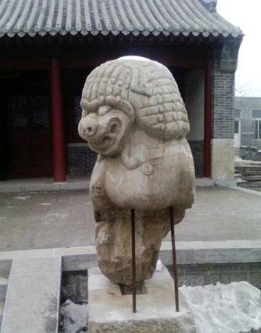 好坚强的狮子