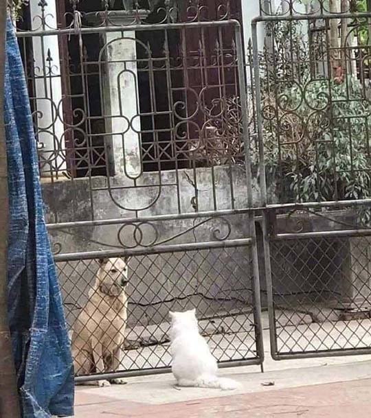 封校后的情侣
