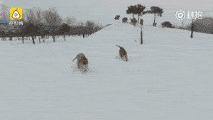 无人机训练减肥