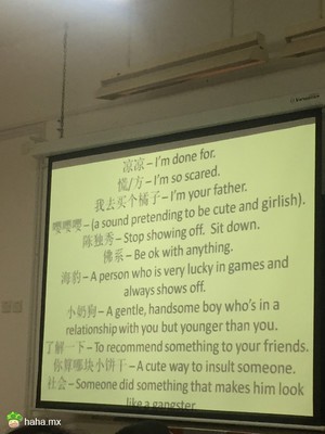 向外教介绍中国slang,xswl