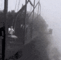 这样的秋千你敢去试试吗