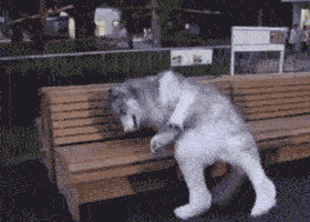 太累了，简直把宝宝累成狗了