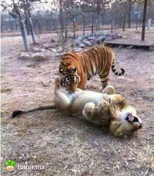 这是要干嘛啊？脏。。。。