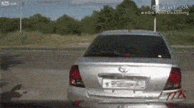 TM坐骑又被打掉了