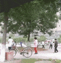 大树:大妈你们是在超度我吗?