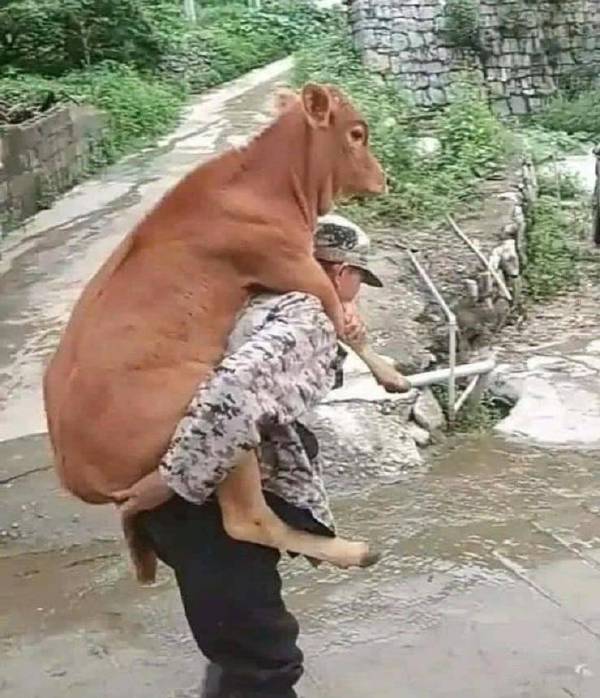 谁还不是个宝宝