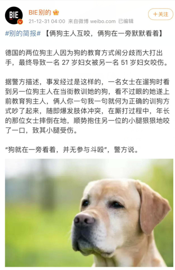 狗太聪明就学会明哲保身了