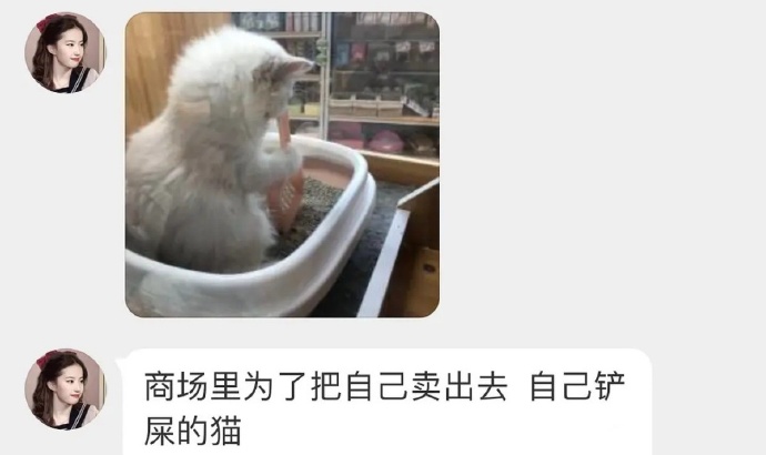 懂事的让人心疼