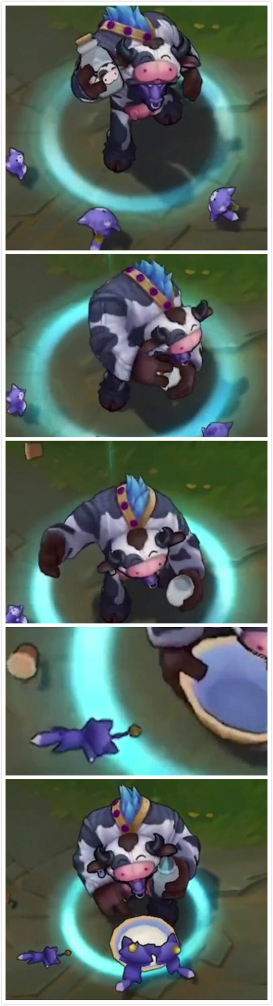 小猫：错的不是我而是这个世界！