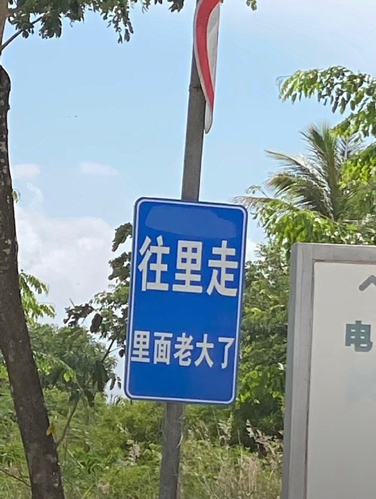 我寻思我也妹有口音啊，咋滴就看出来东北了