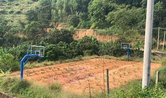 放心,广场舞大妈不会跟你抢