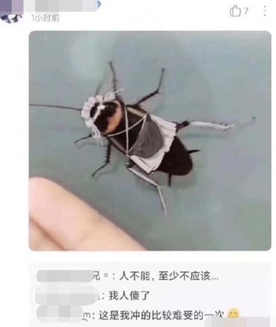 长腿，捆绑，女仆，天然