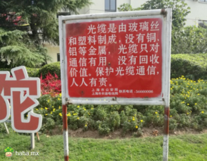 你以为你这样写,我就会相信吗?