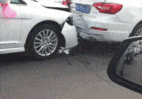 这场婚礼应该花了很多钱