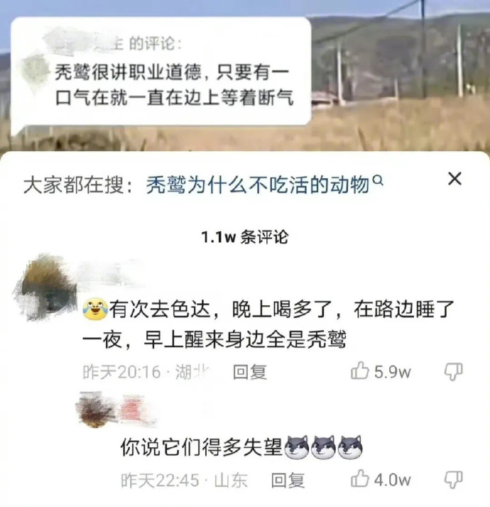 甚至没想过啄一口看看