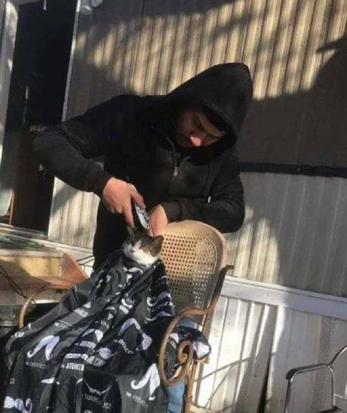 铲屎的，给本喵理地帅些！