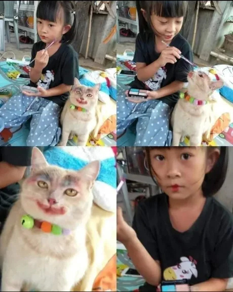 被迫营业又一天