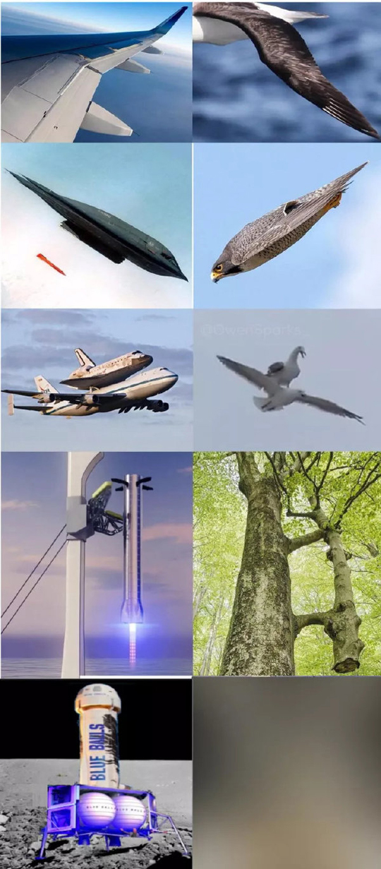 最后一张图因为法律原因，不予显示