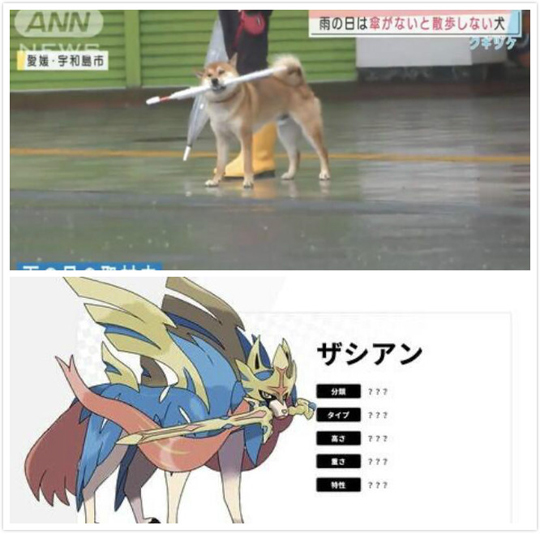 巨狼希夫