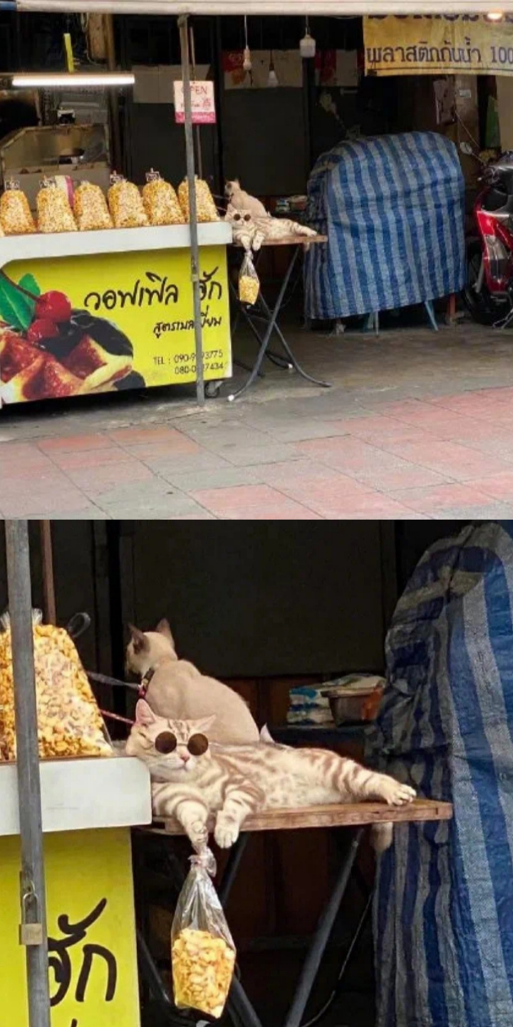 老板：来买啊，来买啊！